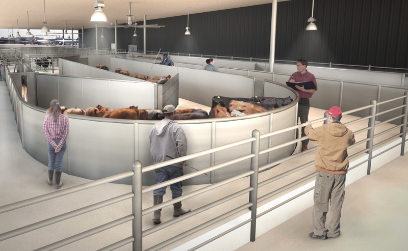 Illustration for article titled Yes, There Is an Airport Being Designed Just For Animals